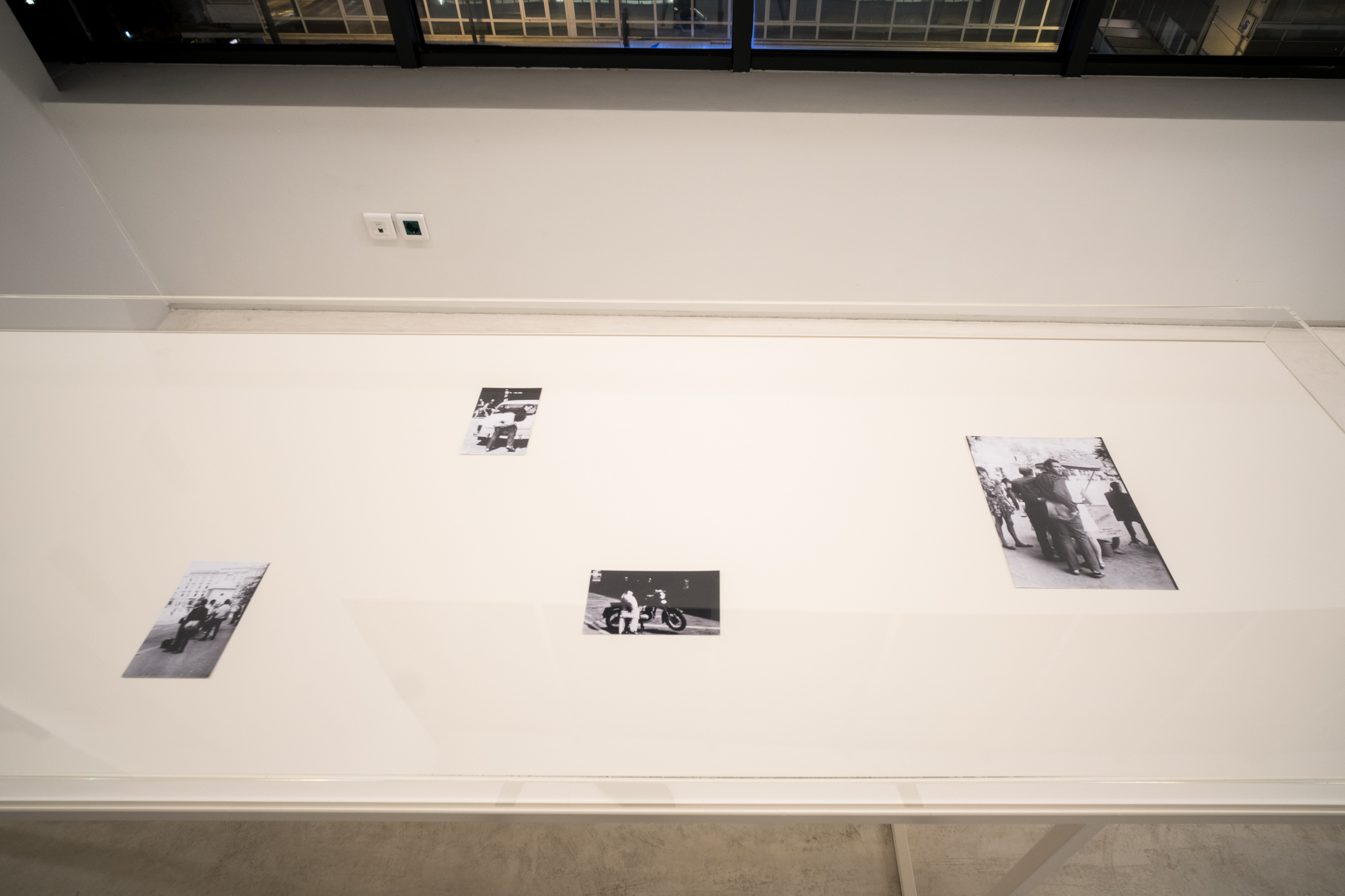 Krzysztof Niemczyk - documenta 14